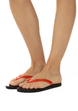 Load image into Gallery viewer, Saionara Jelly